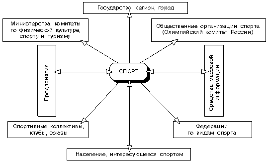 Субъекты и различные целевые группы спорта