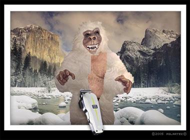 Shave your Yeti