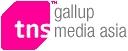 Gallup tns media asia