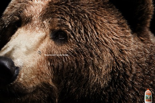 Реклама средства от коавров OFF!