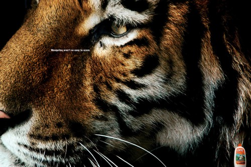 Реклама средства от коавров OFF!