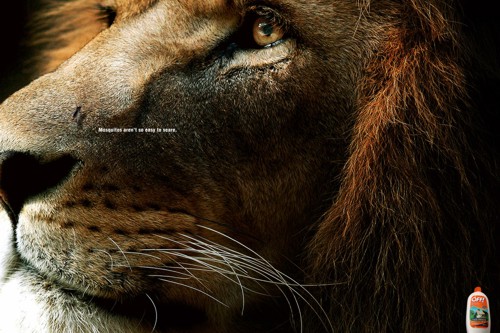 Реклама средства от коавров OFF!