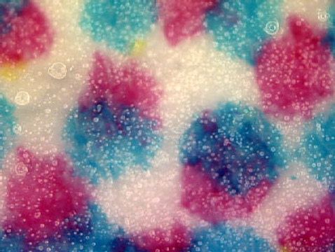           ,   Scentisphere.        ,          ,    (   scentisphere.com).