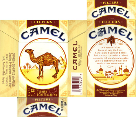   Camel