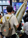Китай захватила большая плюшевая рыба