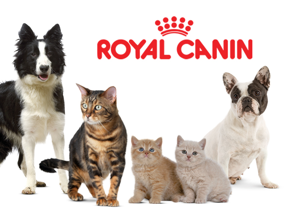 DDB получит креатив Royal Canin