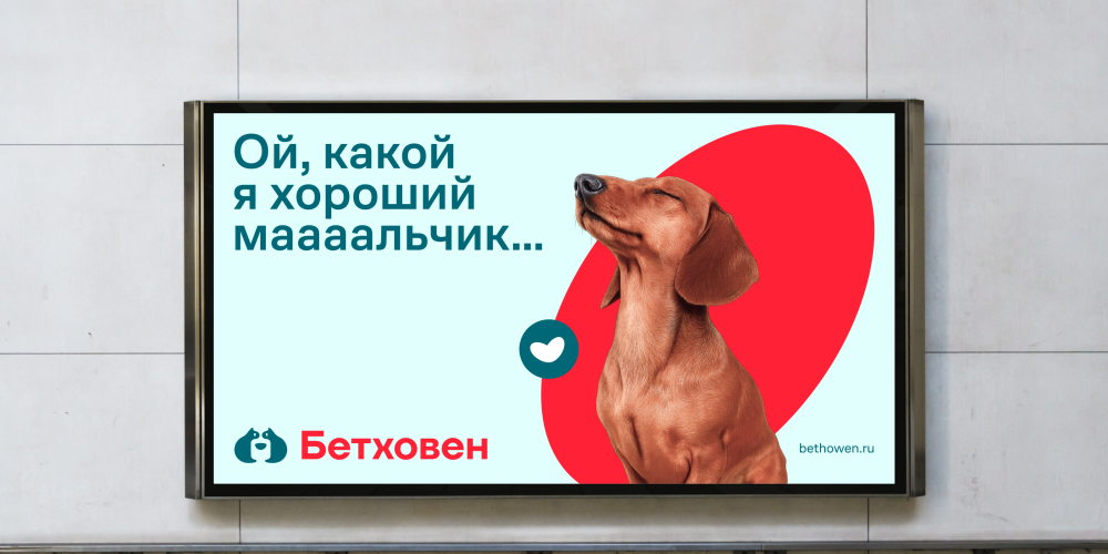 Обновление бренда сети зоомагазинов «Бетховен»