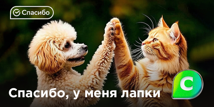 «Спасибо, у меня лапки!»
