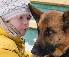 Солнце для лучшего друга