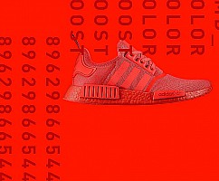 adidas NMD_dealer