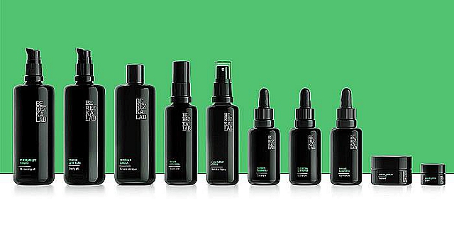 Рисунки на бересте