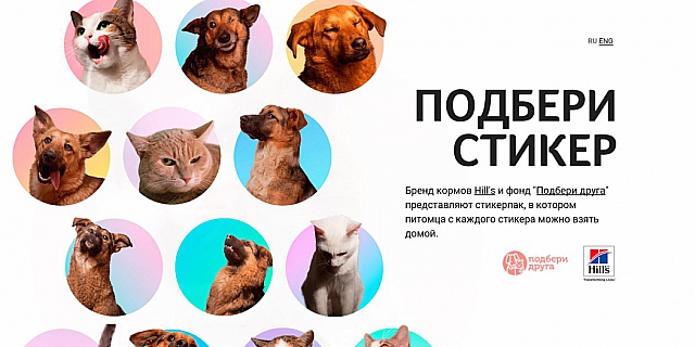 Adopt a Pack – Possible Group