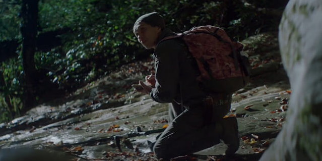 «Луч солнца золотого». Национальные проекты России