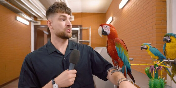 Серёжа и Live