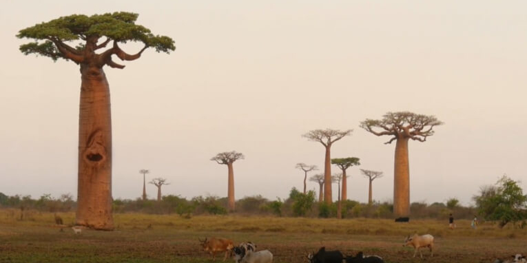 Digital-кампания Metro