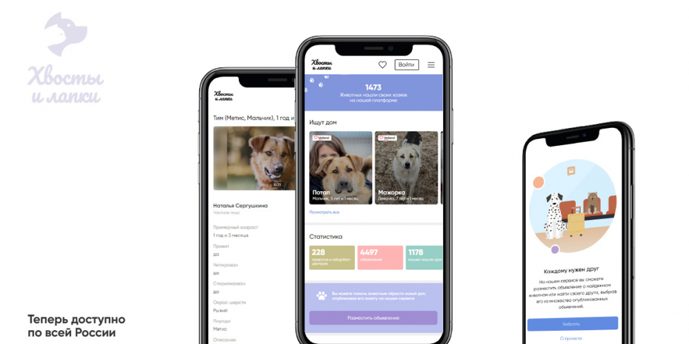 «Хвосты и лапки» – онлайн-сервис для поиска хозяев бездомным животным