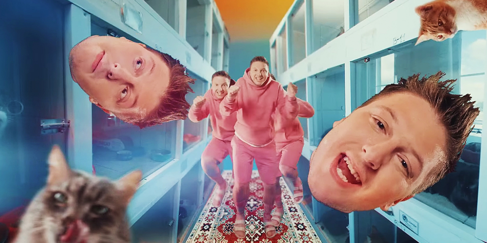 Возьми кота