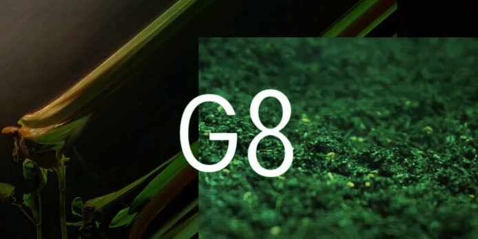 Фестиваль креативных индустрий G8 вырастил айдентику