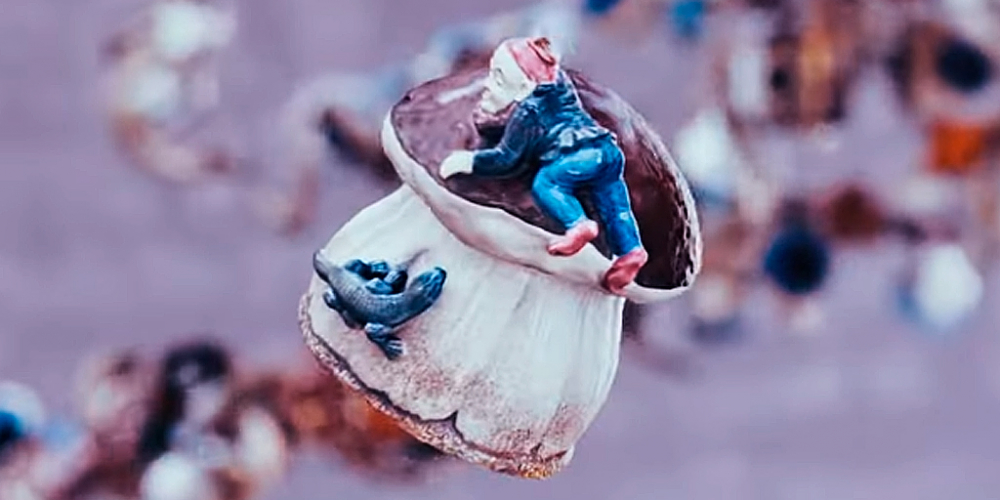 NFT-коллекция вещей подопечных проекта «Помощь»