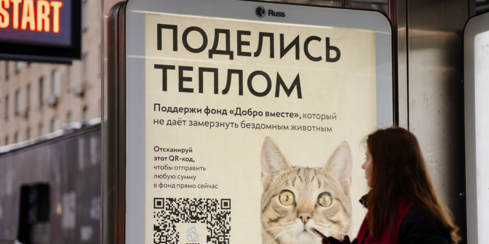СБП и Affect согрели бездомных животных через QR-код