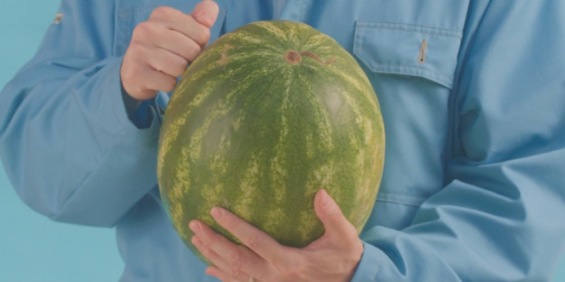 Участник группы «Хлеб» раздал всем арбузы от «Яндекс Лавки»