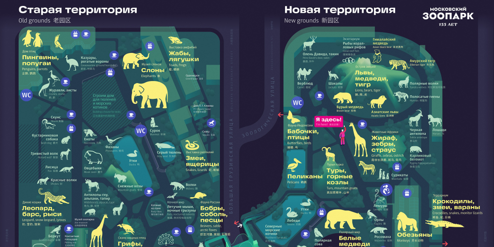 «Студия Артемия Лебедева» создала навигацию для Московского зоопарка