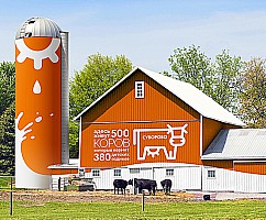 Айдентика Суворово