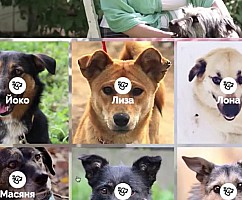 Друг для друга