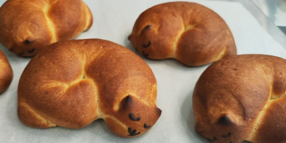 Забатонимся!