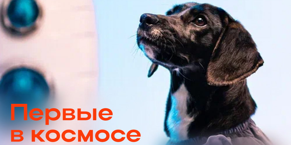 Первые в космосе