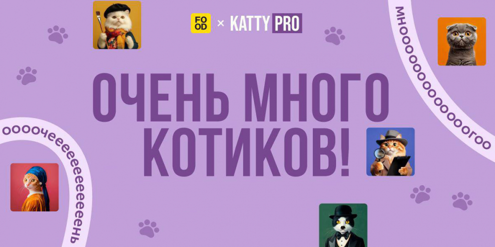 «Очень много котиков!»
