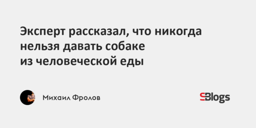 Эксперт рассказал, что никогда нельзя давать собаке из человеческой еды