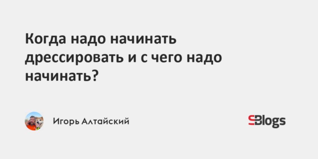 Когда надо начинать дрессировать и с чего надо начинать?