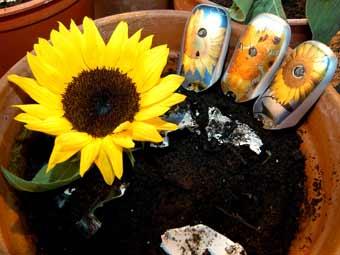 Из сотовых телефонов можно будет выращивать цветы