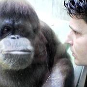 Фотоснимок в виде мультимедийных сообщений (MMS), сделаннык владельцами мобильников с камерами