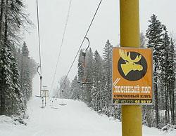 Рекламное изображение «Лосиного лога» от агентства «Паритет»