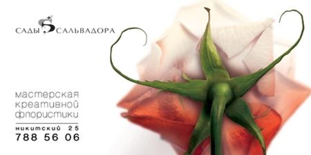 "Сады Сальвадора " Мастерская креативной флористики