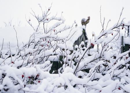 "Городские выставки на открытках"