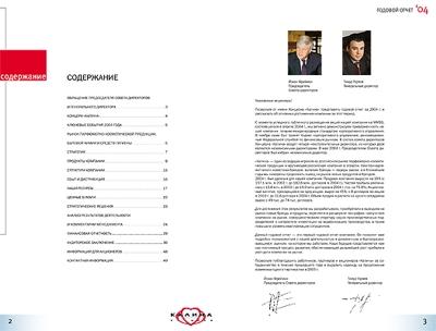Рекламное агентство Graphico завершило свою работу над оформлением годового отчета крупнейшего косметического концерна "Калина"