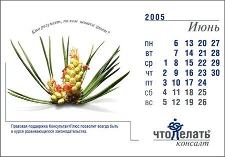 Календарь для Консалтинговой группы: "Что делать Консалт" от РА "Саша Медиа", 2005 год