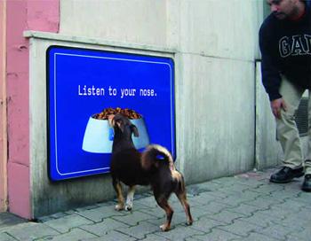 Наружная реклама для собак