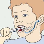    Tooth Tunes    Hasbro