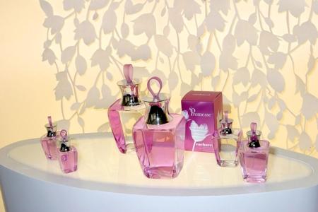 Агентство маркетинговых коммуникаций Pro-Vision Communications, входящее в группу Pro-Vision, организовало и провело презентацию нового аромата Promisse