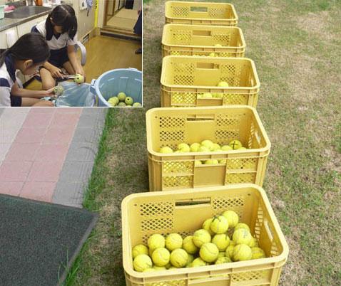Если не знать, что это такое, можно подумать, будто девушки чистят, например, яблоки (фото с сайта sports-eco.net).