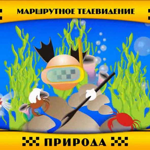 Маршрутное телевидение