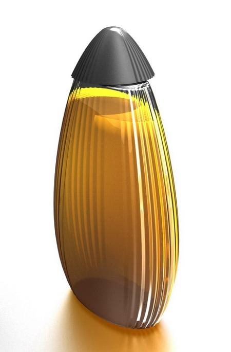 Наиль Хуснутдинов и Владимир Деменчёнок создали дизайн бутылки для подсолнечного масла "единство формы и содержания"