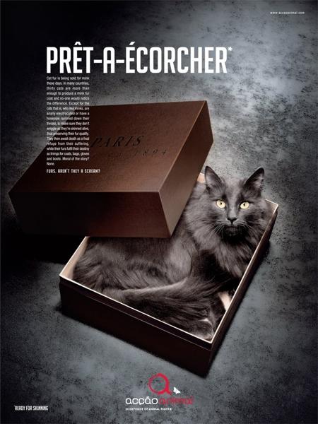 Новая кампания против жестокости меховой индустрии