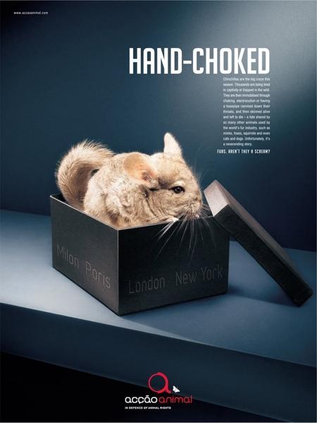 Новая кампания против жестокости меховой индустрии