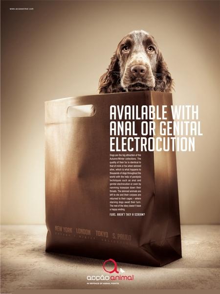 Новая кампания против жестокости меховой индустрии