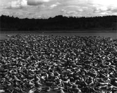    , 1997,    spencertunick.com